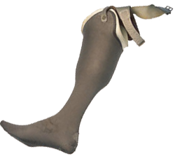 Prosthetic Leg